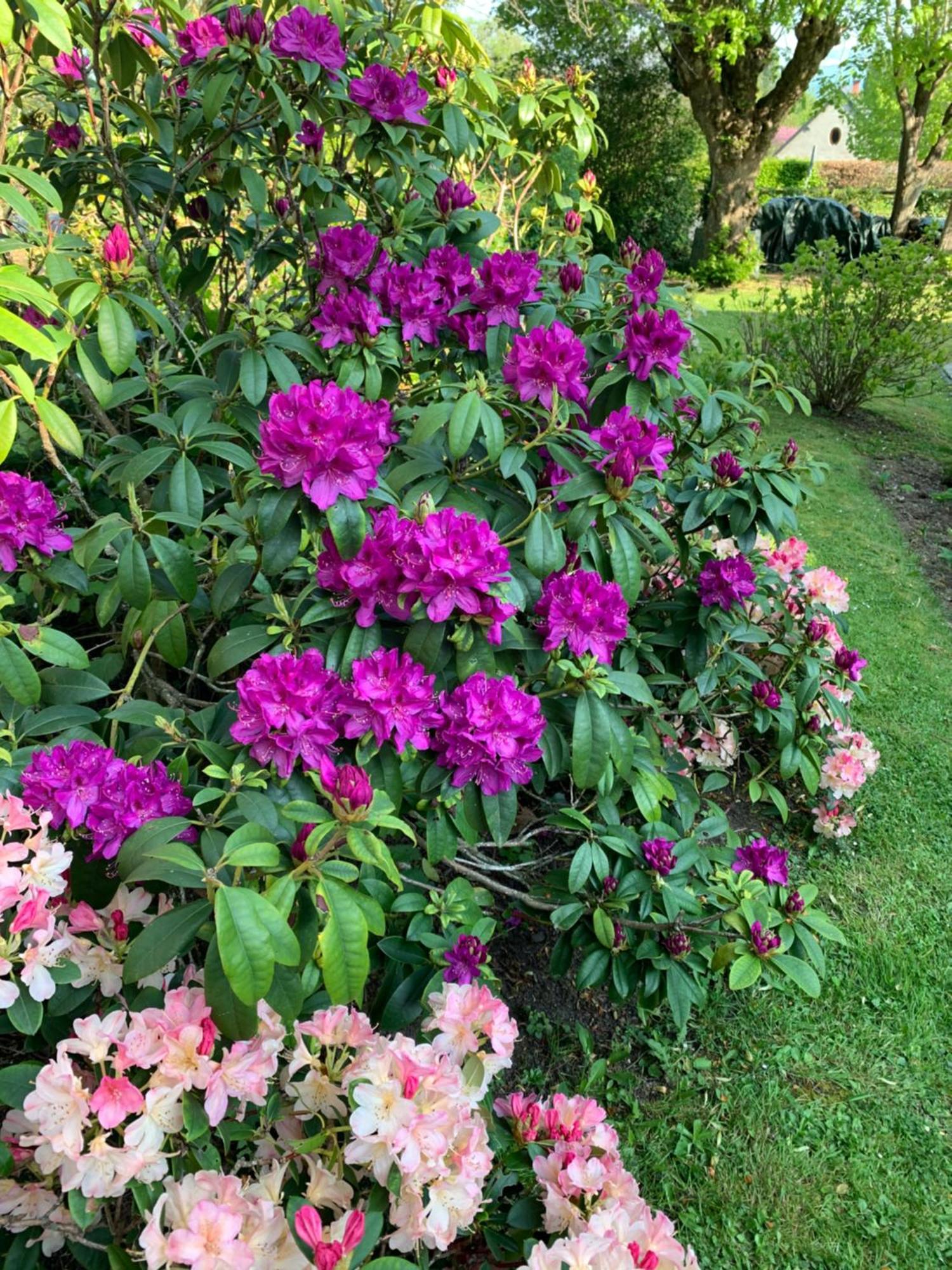 La Villa Des Rosiers Cricquebœuf 外观 照片